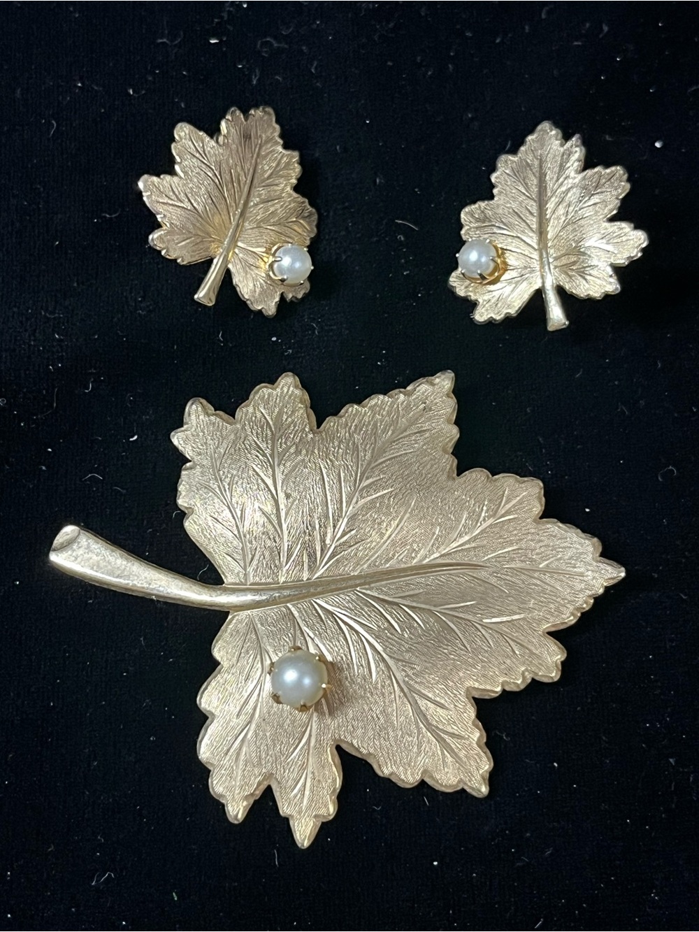 Sarah Coventry Whispering Leaf Brooch Earring Set 1810